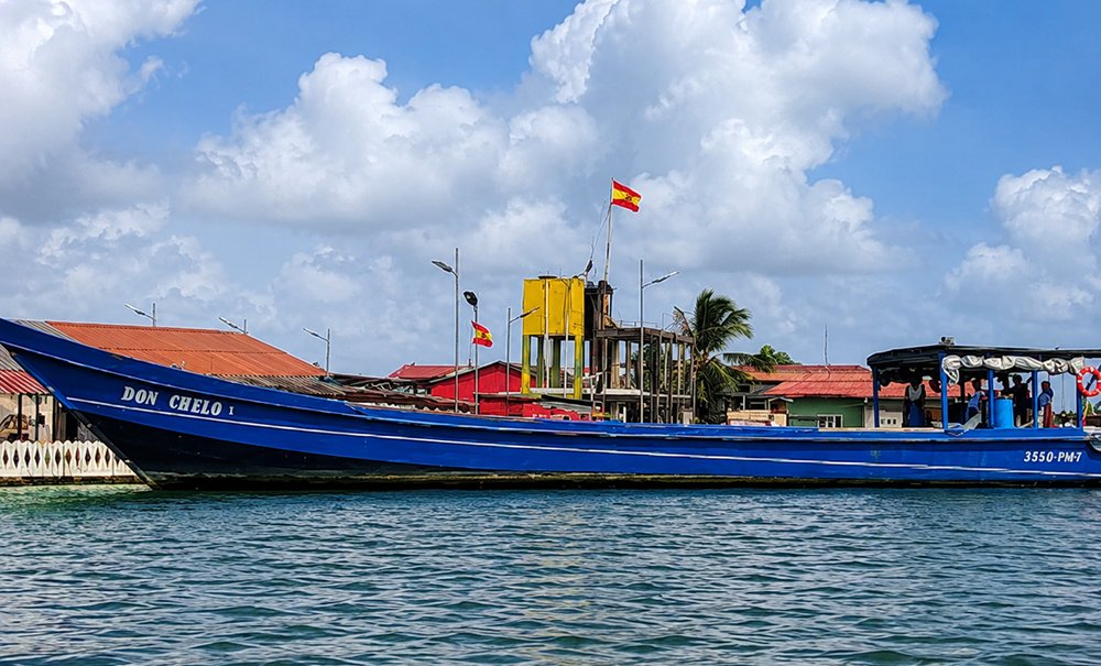Servicios coco panama