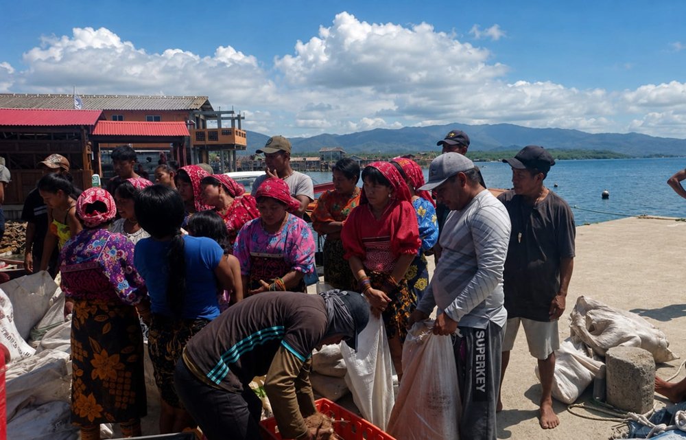Servicios coco panama